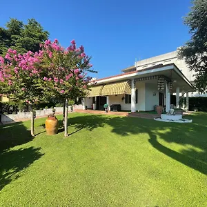 Vitti's Guest house