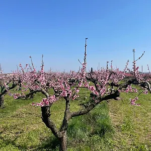 Corte Vecia Della Corte Farm stay